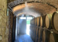 Azienda vinicola o cantinetta privata: i vantaggi della nebulizzazione per umidificazione cantine